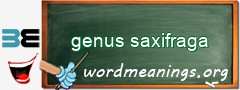WordMeaning blackboard for genus saxifraga